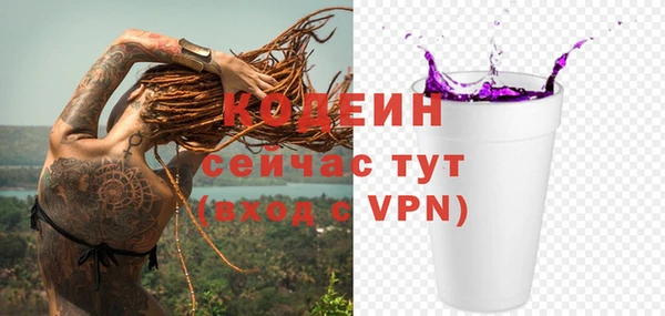 гашик Бородино