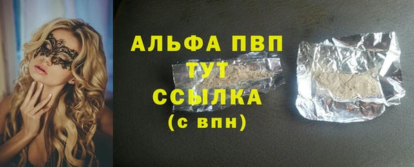 гашик Бородино
