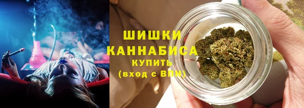 гашик Бородино