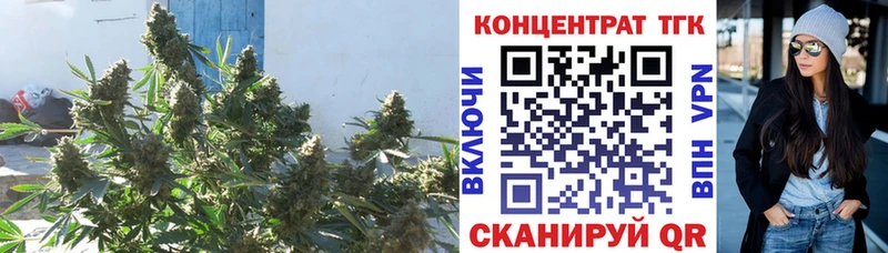 ТГК концентрат  omg рабочий сайт  Жиздра 