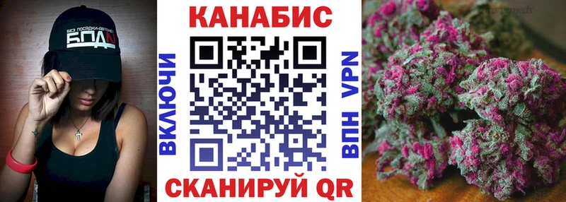 Бошки марихуана сатива где можно купить наркотик Жиздра